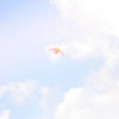 我的宠物不可能那么可爱手游下载
